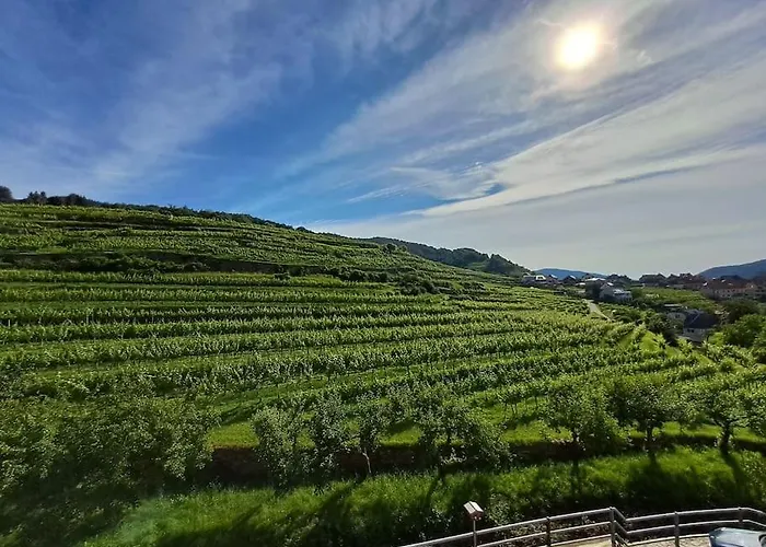 Wohnung In Der Wachau
